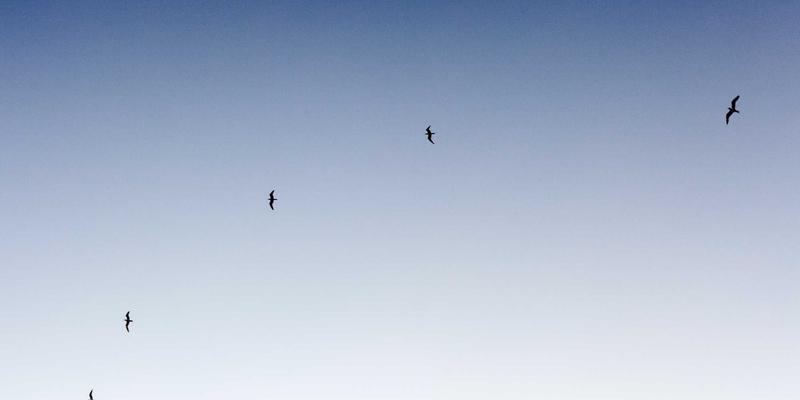 YYQYJT技术分享：网络性能监控（NPM）与全栈可观测性融合，打造从数据采集到智能告警的闭环