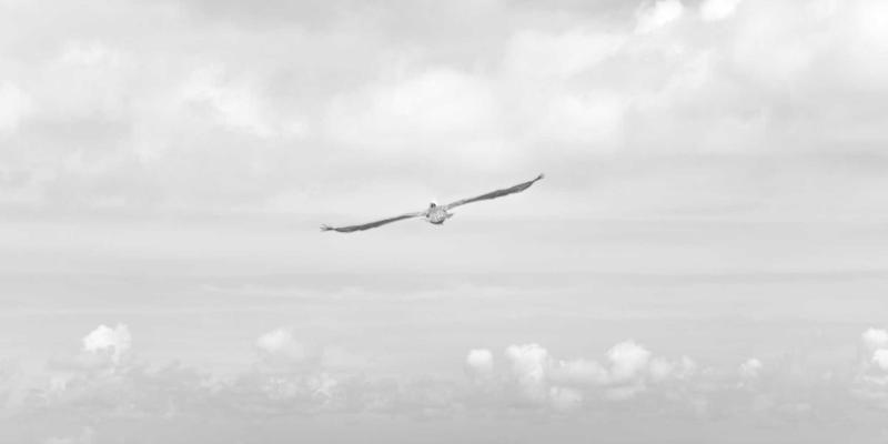 YYQYJT网络技术实践：构建超越传统监控的可观测性平台