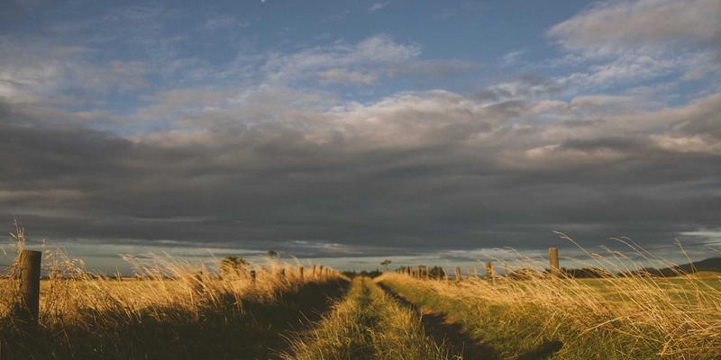 区块链技术重塑信任：分布式网络身份认证与溯源的技术革命