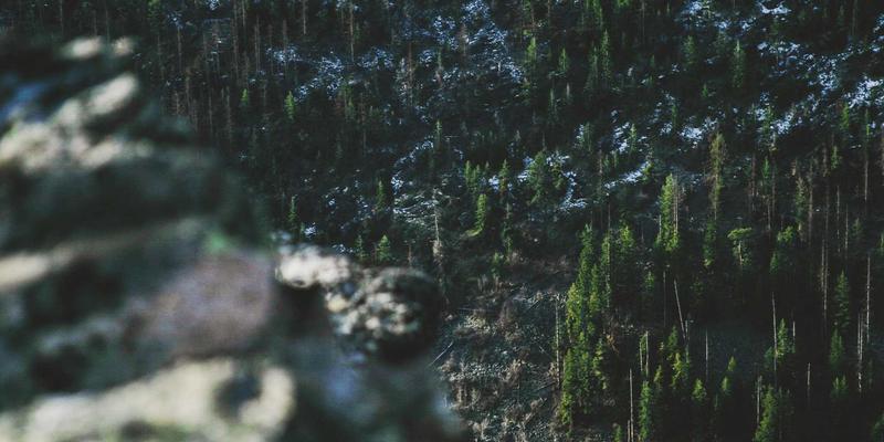 基于意图的网络（IBN）：驱动网络自动化与智能化的核心架构解析