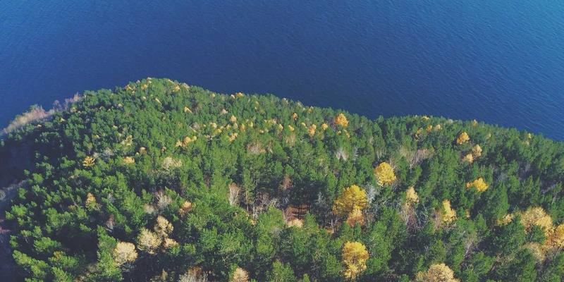 技术分享：深度解析时间敏感网络（TSN）在工业互联网与自动驾驶中的关键作用与开发实践