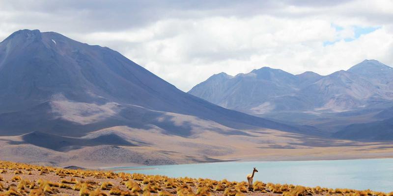 技术分享：深度解析网络切片技术，YYQYJT如何赋能5G垂直行业变革