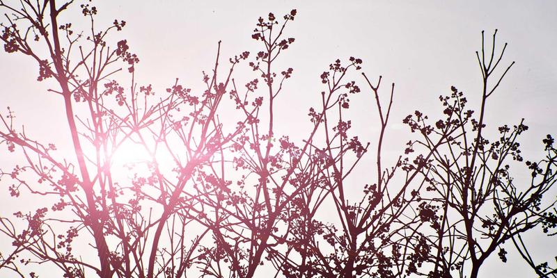 服务网格深度解析：微服务通信的网络治理与安全实践技术分享