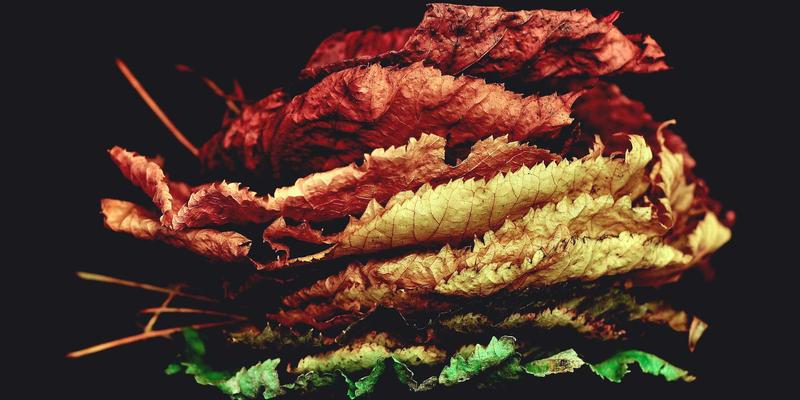 网络技术入门指南:从YYQYJT到编程资源的完整学习路径