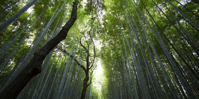 边缘计算与物联网融合实战：网络技术演进与开发教程资源指南